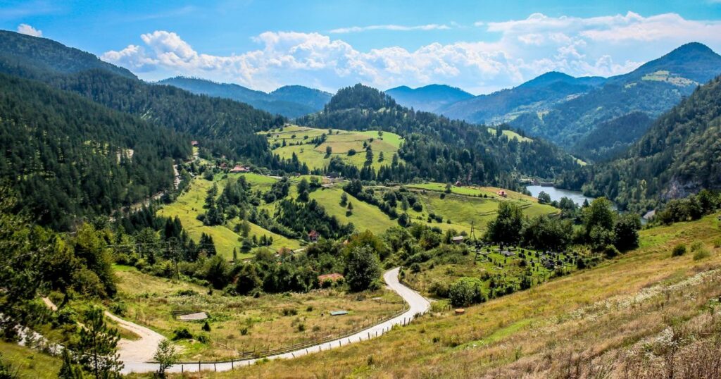 Planina Tara